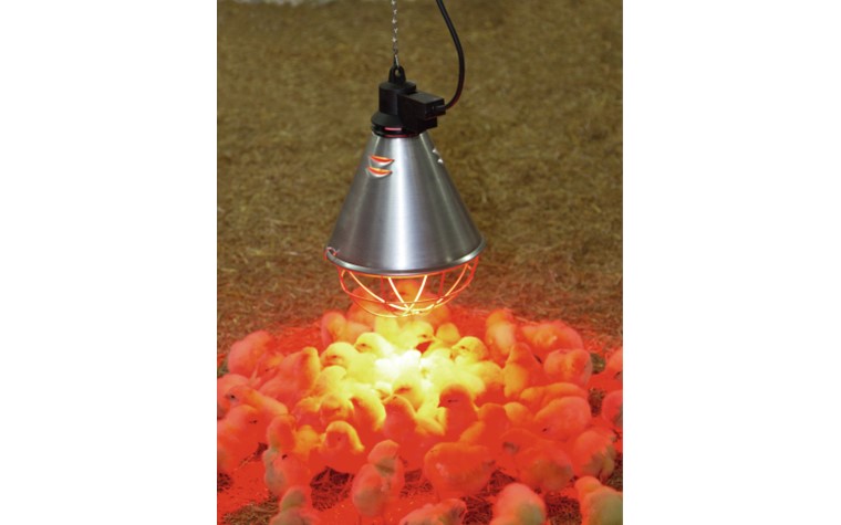 Appareil-Lampe Chauffante 5,0 mtr