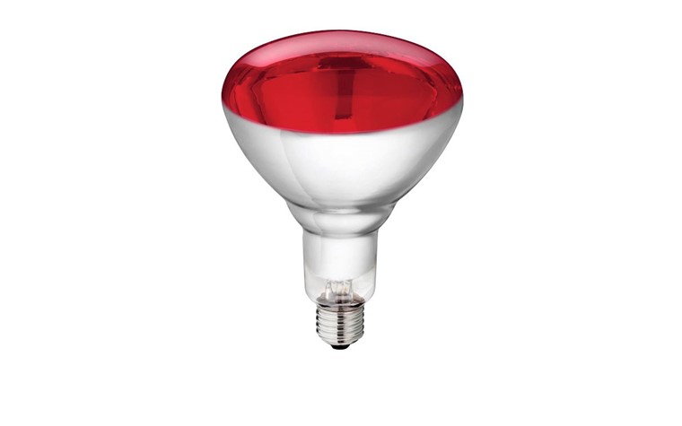 Ampoule Infra-rouge PHILIPS 250W - rouge