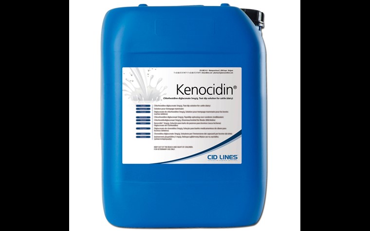 KENOCIDIN Dippmittel (Chlorexidin)  60 L