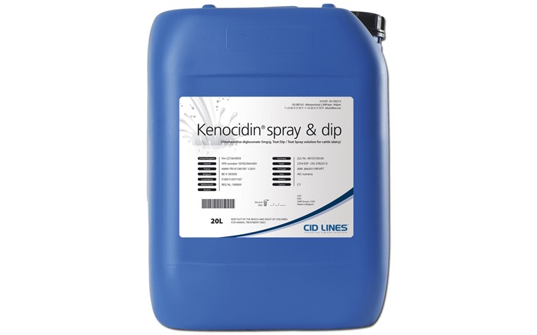 KENOCIDIN SD (Chlorexidin)  60 L
