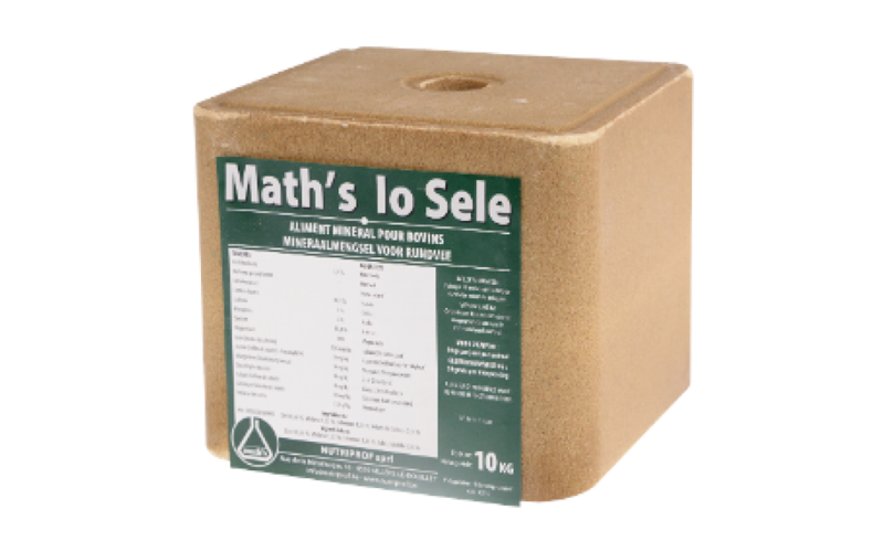 Math's Salzstein Jod/Selenium 10 Kg