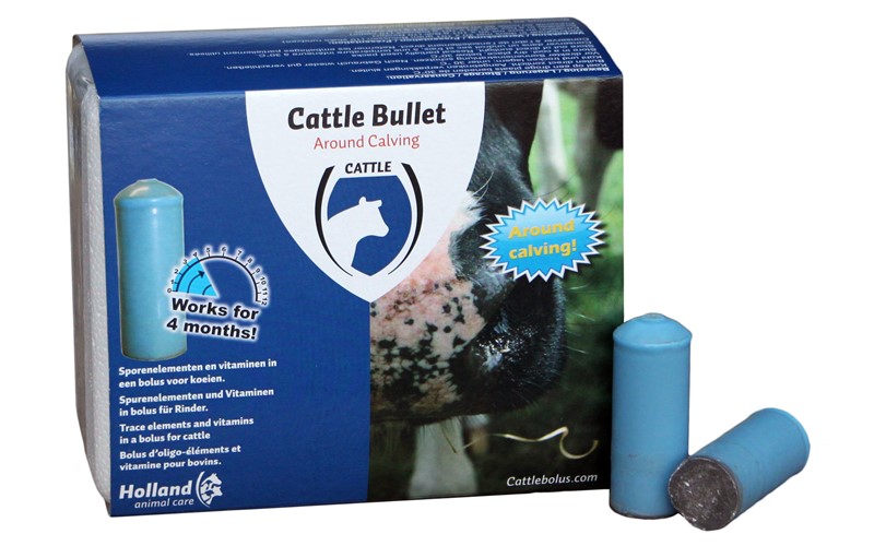 BOLUS Cattle Bullet (Trockenstehen 20 Boli/Dose)